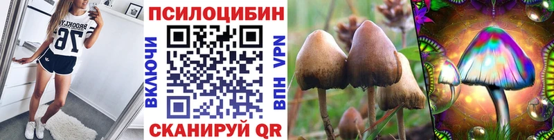 Галлюциногенные грибы Cubensis  купить наркотики цена  площадка состав  Кремёнки 